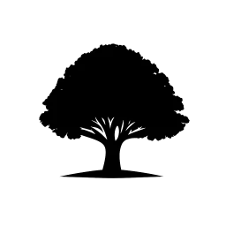 Treehaus Studio